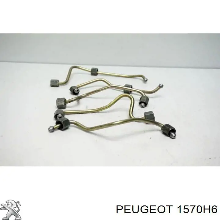 Tubo de combustível do injetor de 1º cilindro Peugeot/Citroen 1570H6 preço, a partir de 41,65 USD