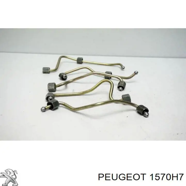 Tubo de combustível do injetor de 2º cilindro Peugeot/Citroen 1570H7 preço, a partir de 41,99 USD