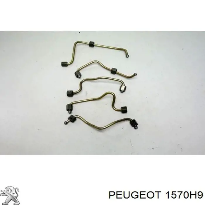 Tubo de combustível do injetor de 4º cilindro Peugeot/Citroen 1570H9 preço, a partir de 42,65 USD
