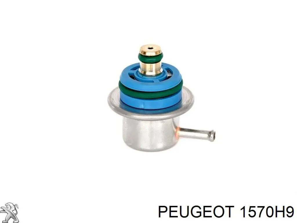 1570H9 Peugeot/Citroen Tubo de combustível do injetor de 4º cilindro