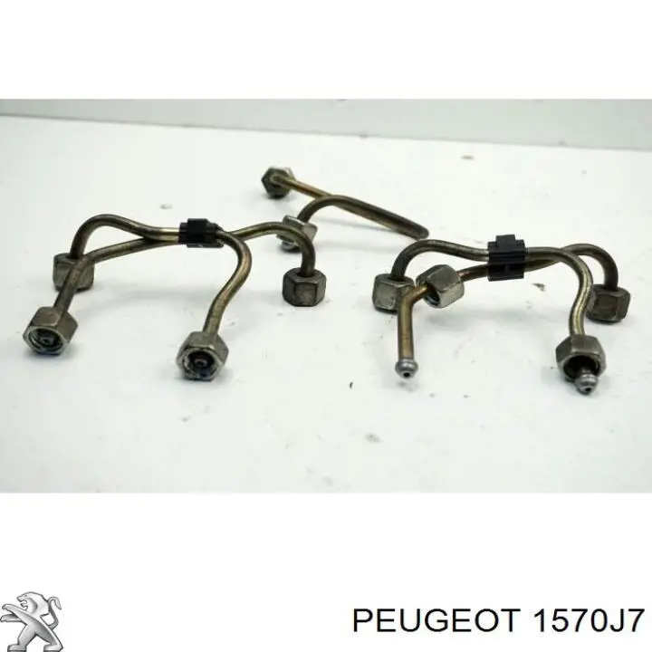 Compre 3M5Q9D280BC Ford Distribuidor de combustível (rampa)