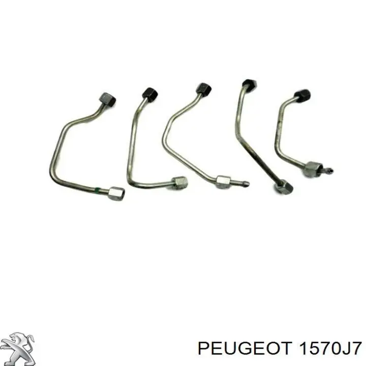 Distribuidor de combustível (rampa) Peugeot/Citroen 1570J7 preço, a partir de 34,33 USD