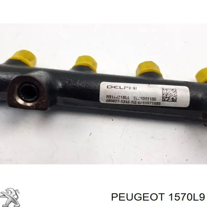 Distribuidor de combustível (rampa) Peugeot/Citroen 1570L9 preço, a partir de 57,89 USD