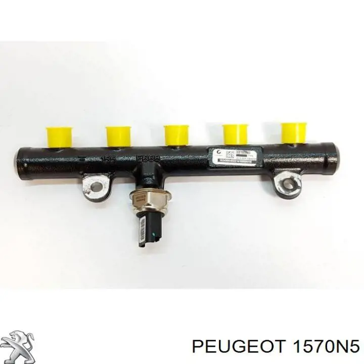 1570N5 Peugeot/Citroen Distribuidor de combustível (rampa)