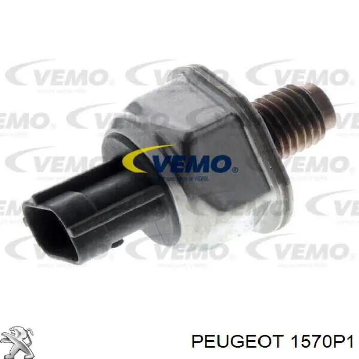6C1Q9D280BA Peugeot/Citroen Distribuidor de combustível (rampa)
