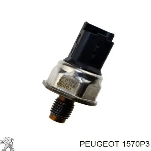 1570P3 Peugeot/Citroen Distribuidor de combustível (rampa)