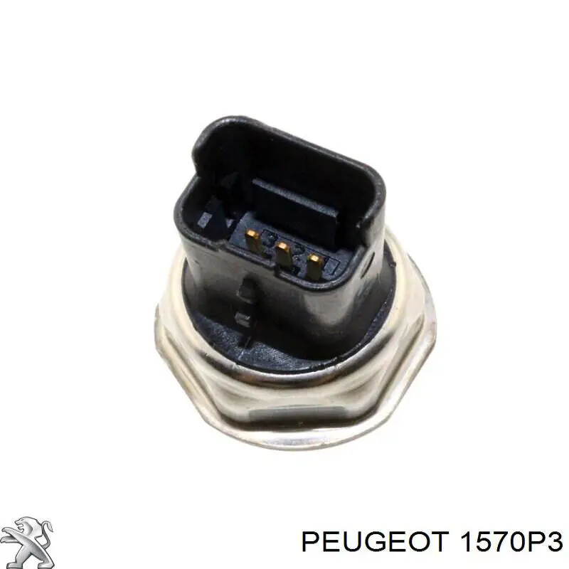 Compre 1570P3 Peugeot/Citroen Distribuidor de combustível (rampa)