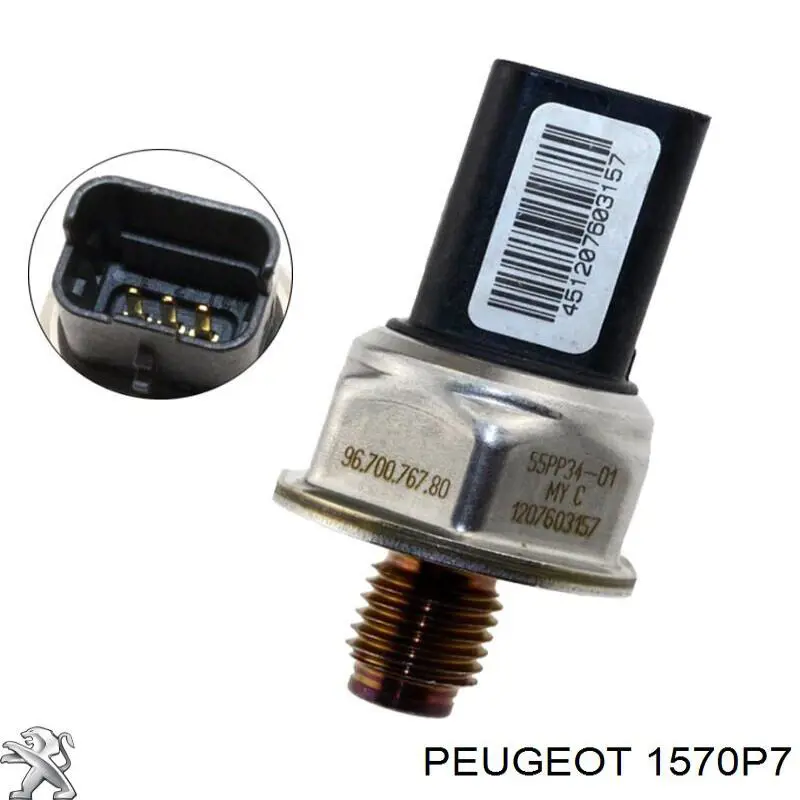 1570P7 Peugeot/Citroen Distribuidor de combustível (rampa)