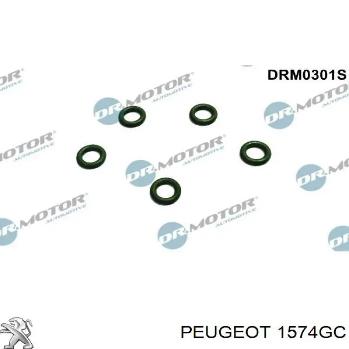 Compre 1574GC Peugeot/Citroen Vedante anular de tubo de ligação de retorno de mangueira do injetor