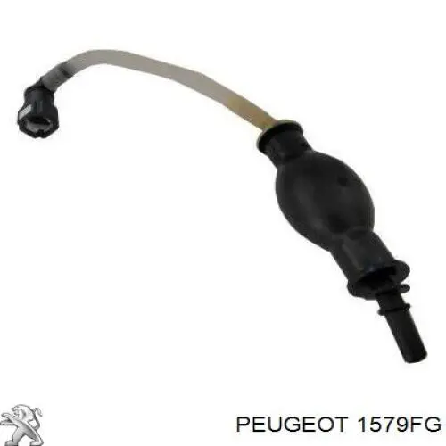1579FG Peugeot/Citroen Tubo de combustível, desde o tanque até o filtro de combustível
