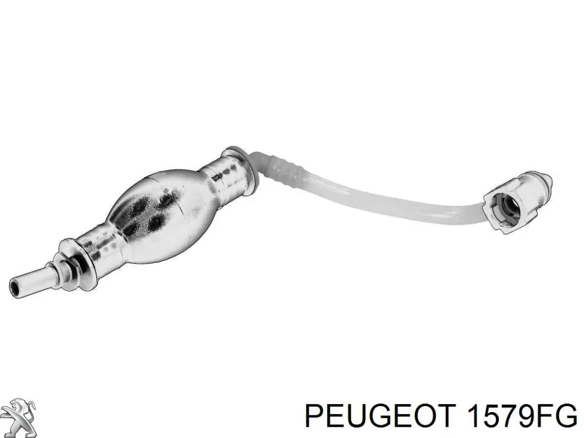 Tubo de combustível, desde o tanque até o filtro de combustível Peugeot/Citroen 1579FG preço, a partir de 25,54 USD