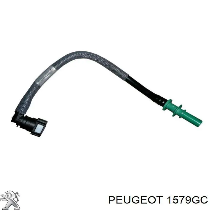 1579GC Peugeot/Citroen Tubo de combustível, desde o tanque até o filtro de combustível