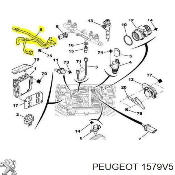 1579V5 Peugeot/Citroen Tubo de combustível inverso desde o filtro até o tanque