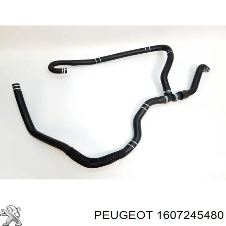 Mangueira inferior do tanque de expansão Fiat/Alfa/Lancia 1369478080