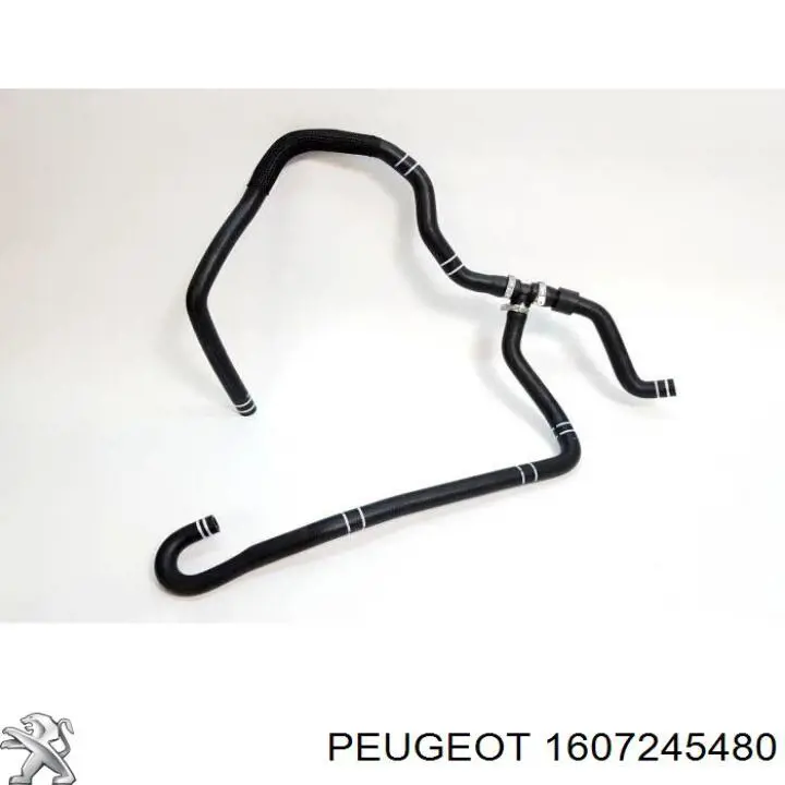 Mangueira inferior do tanque de expansão Fiat/Alfa/Lancia 1369478080 preço, a partir de 74,13 USD