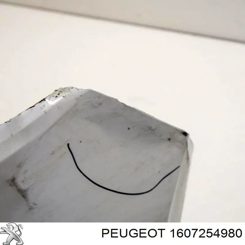 1607254980 Peugeot/Citroen Pára-choque traseiro
