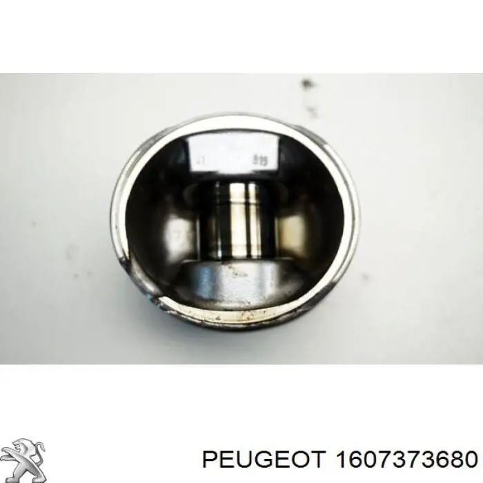 1607373680 Peugeot/Citroen Pistão do kit para 1 cilindro, STD