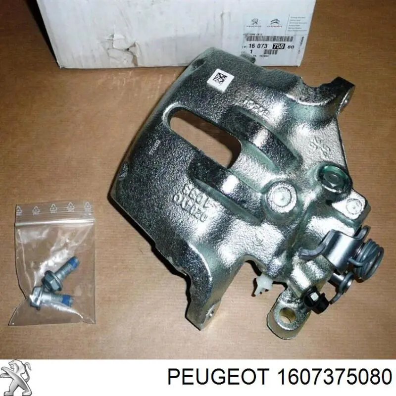 1607375080 Peugeot/Citroen Suporte do freio dianteiro esquerdo