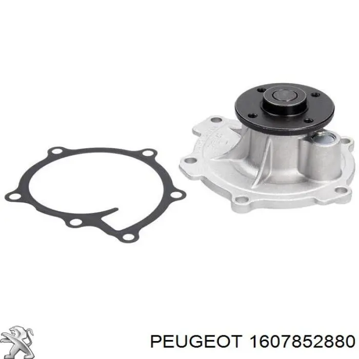Bomba de água (bomba) de esfriamento Peugeot/Citroen 1607852880 preço, a partir de 55,08 USD