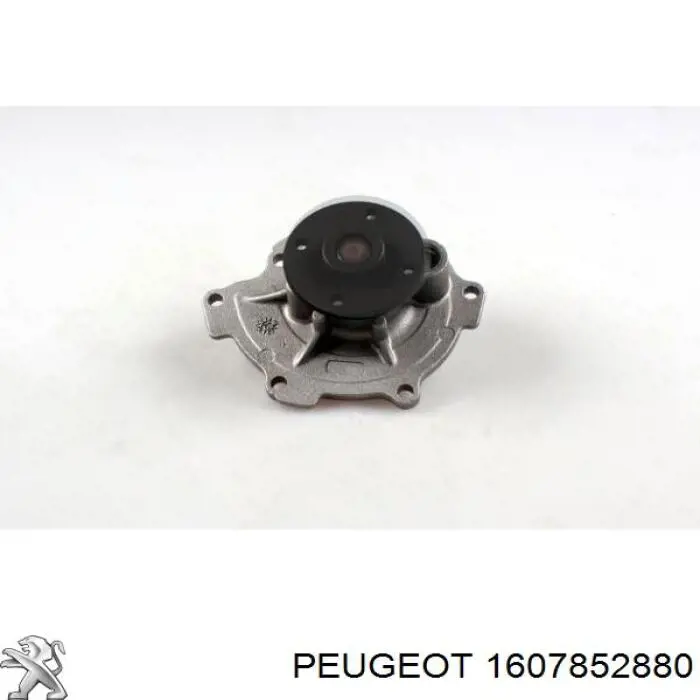 Compre 1607852880 Peugeot/Citroen Bomba de água (bomba) de esfriamento