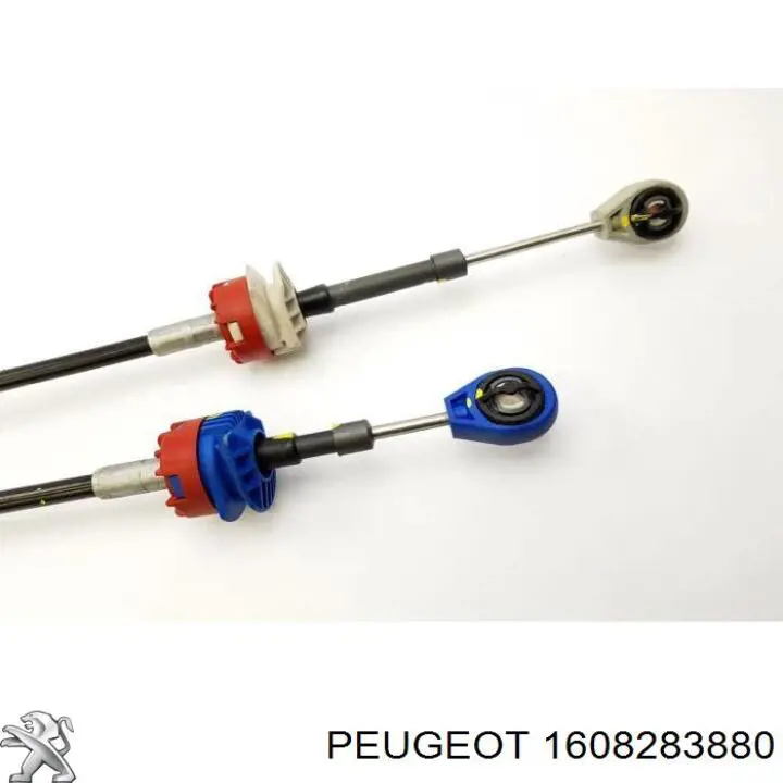 Compre 6014621 Cavo Cabo de mudança duplo
