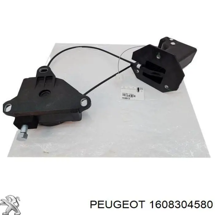 1608304580 Peugeot/Citroen Consola da roda de recambio