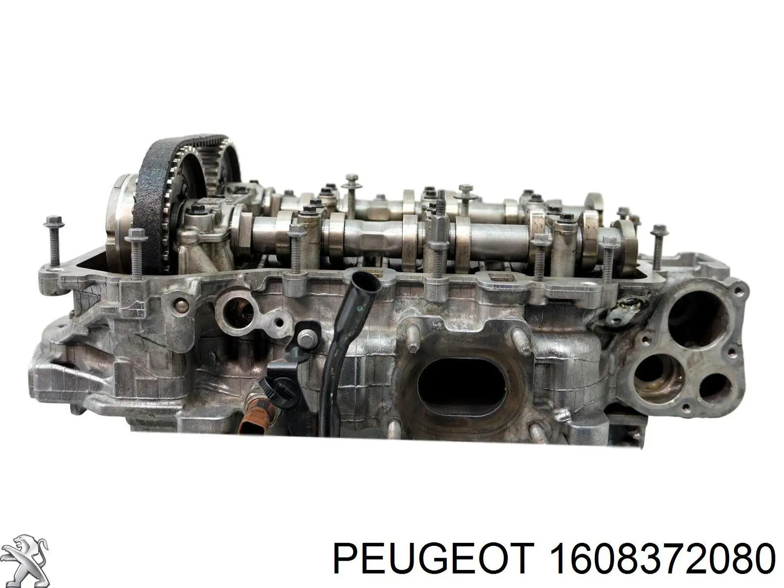  Peugeot/Citroen 1608372080 preço, a partir de  