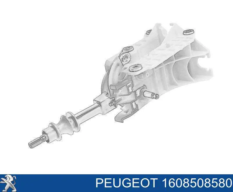 1608508580 Peugeot/Citroen Avalanca de mudança