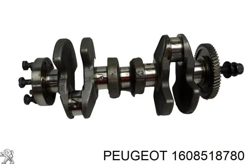 1608518780 Peugeot/Citroen Cambota de motor