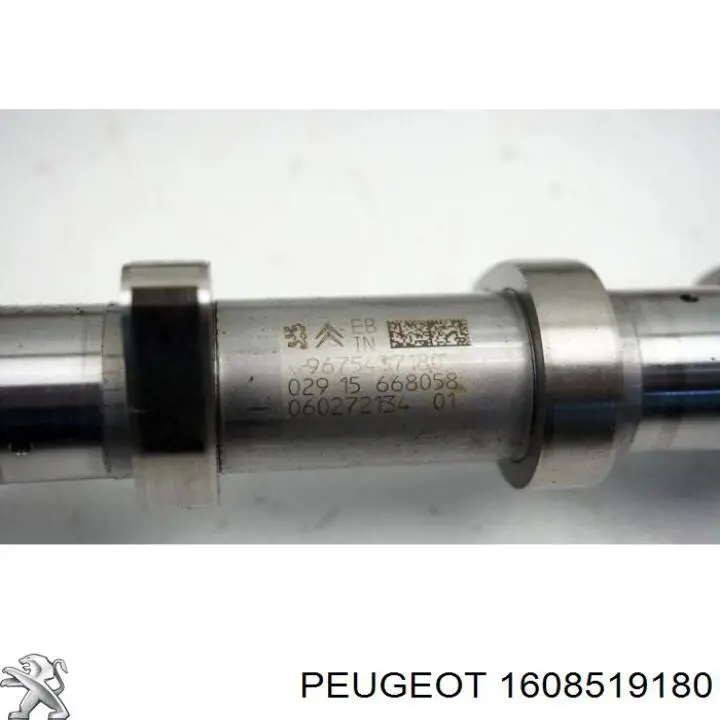1608519180 Peugeot/Citroen Cabeça de motor (CBC)
