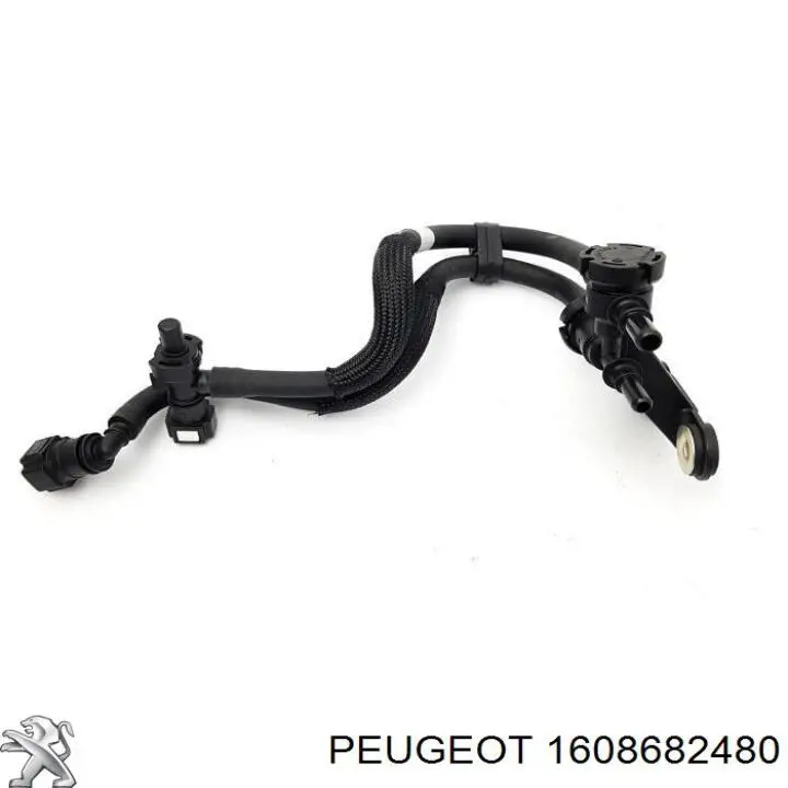 Tubo de combustível desde a bomba de bombeio de combustível até a Bomba de Combustível de Pressão Alta 1369854080 Fiat/Alfa/Lancia