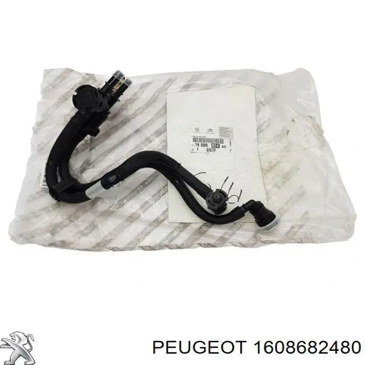 Tubo de combustível desde a bomba de bombeio de combustível até a Bomba de Combustível de Pressão Alta Peugeot/Citroen 1608682480 preço, a partir de 178,04 USD
