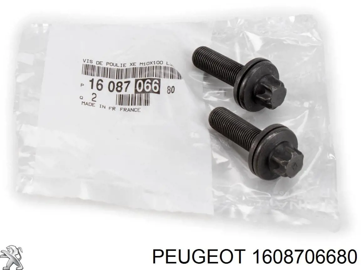 1608706680 Peugeot/Citroen 