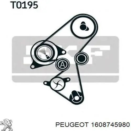 Correia do mecanismo de distribuição de gás Peugeot/Citroen 1608745980 preço, a partir de 73,23 USD
