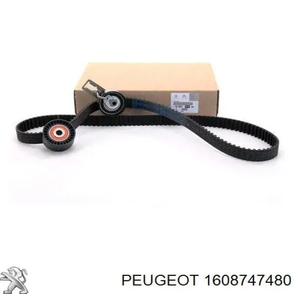 1608747480 Peugeot/Citroen Correia do mecanismo de distribuição de gás, kit