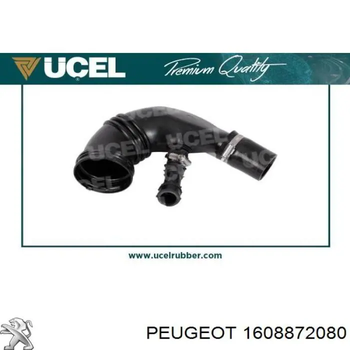 Compre 51904555 Fiat/Alfa/Lancia Cano derivado de ar do medidor de consumo do ar