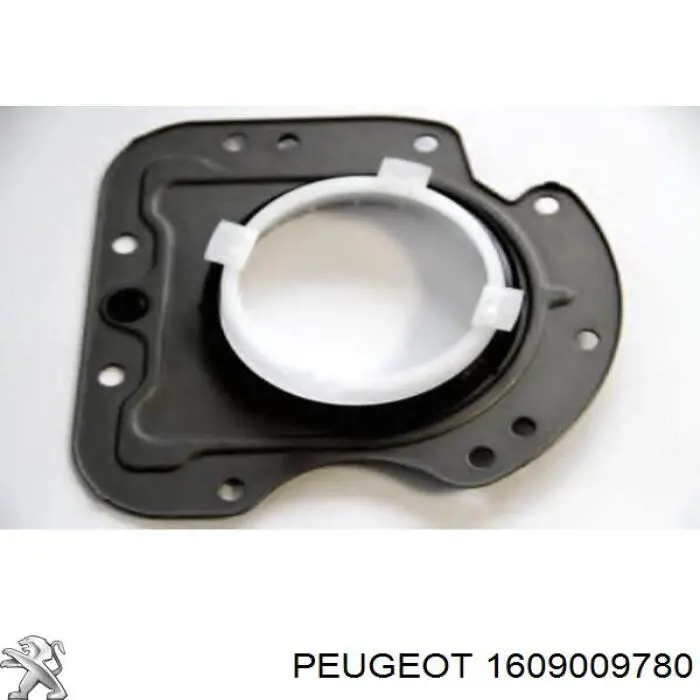 Compre 1609009780 Peugeot/Citroen Vedação traseira de cambota de motor