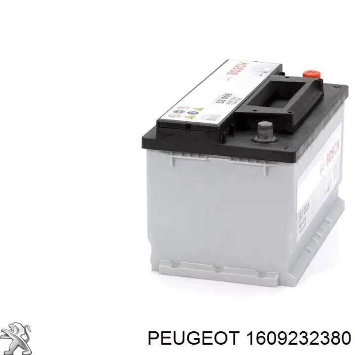 Compre 1609232380 Peugeot/Citroen Bateria recarregável (PILHA)