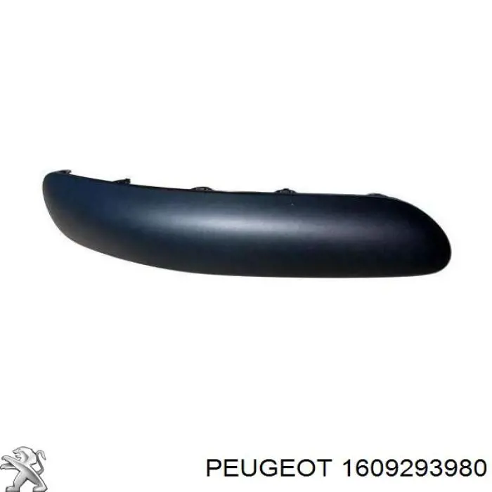 1609293980 Peugeot/Citroen 