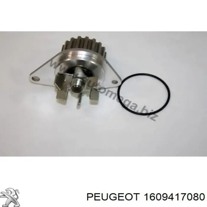 Compre 1609417080 Peugeot/Citroen Bomba de água (bomba) de esfriamento