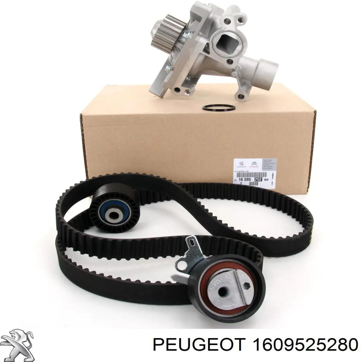 Correia do mecanismo de distribuição de gás, kit Peugeot/Citroen 1609525280 preço, a partir de 231,87 USD