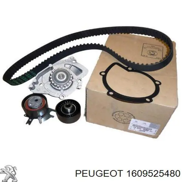 1609525480 Peugeot/Citroen Correia do mecanismo de distribuição de gás, kit