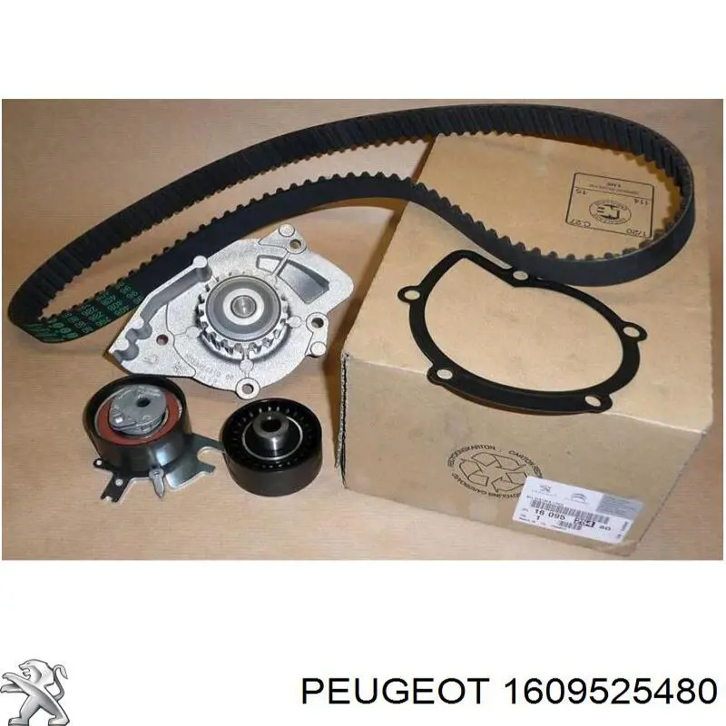 Correia do mecanismo de distribuição de gás, kit Peugeot/Citroen 1609525480 preço, a partir de 108,01 USD