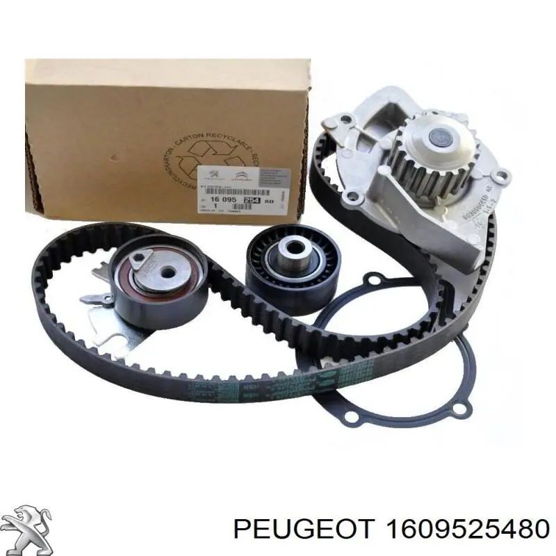 Compre 1609525480 Peugeot/Citroen Correia do mecanismo de distribuição de gás, kit