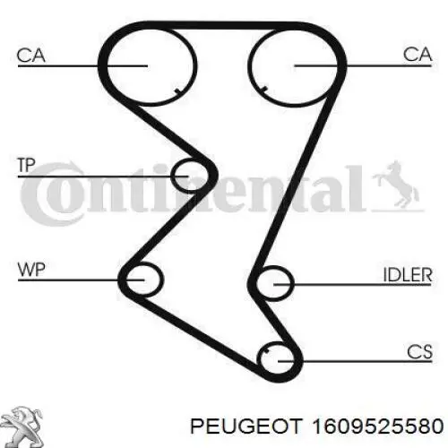 Correia do mecanismo de distribuição de gás, kit Peugeot/Citroen 1609525580 preço, a partir de 170,21 USD