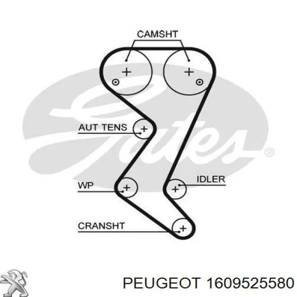 Compre 1609525580 Peugeot/Citroen Correia do mecanismo de distribuição de gás, kit