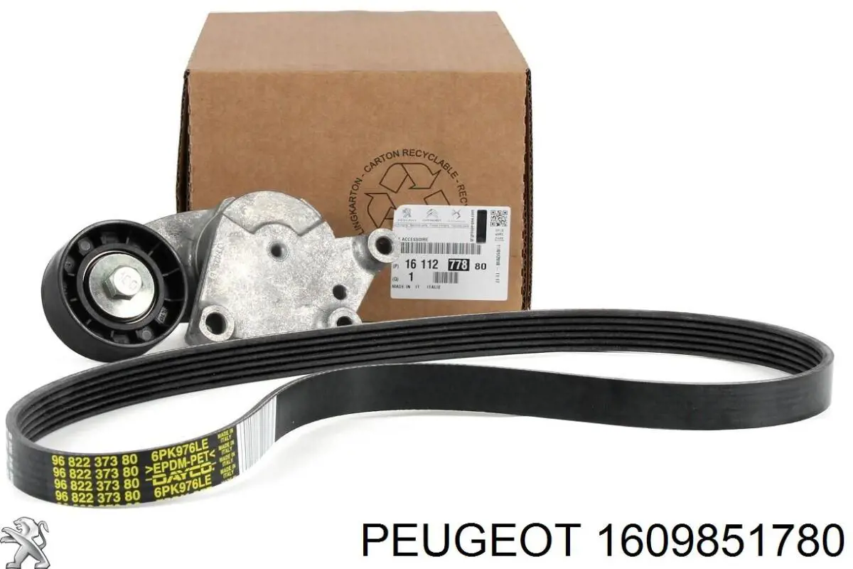 1609851780 Peugeot/Citroen 