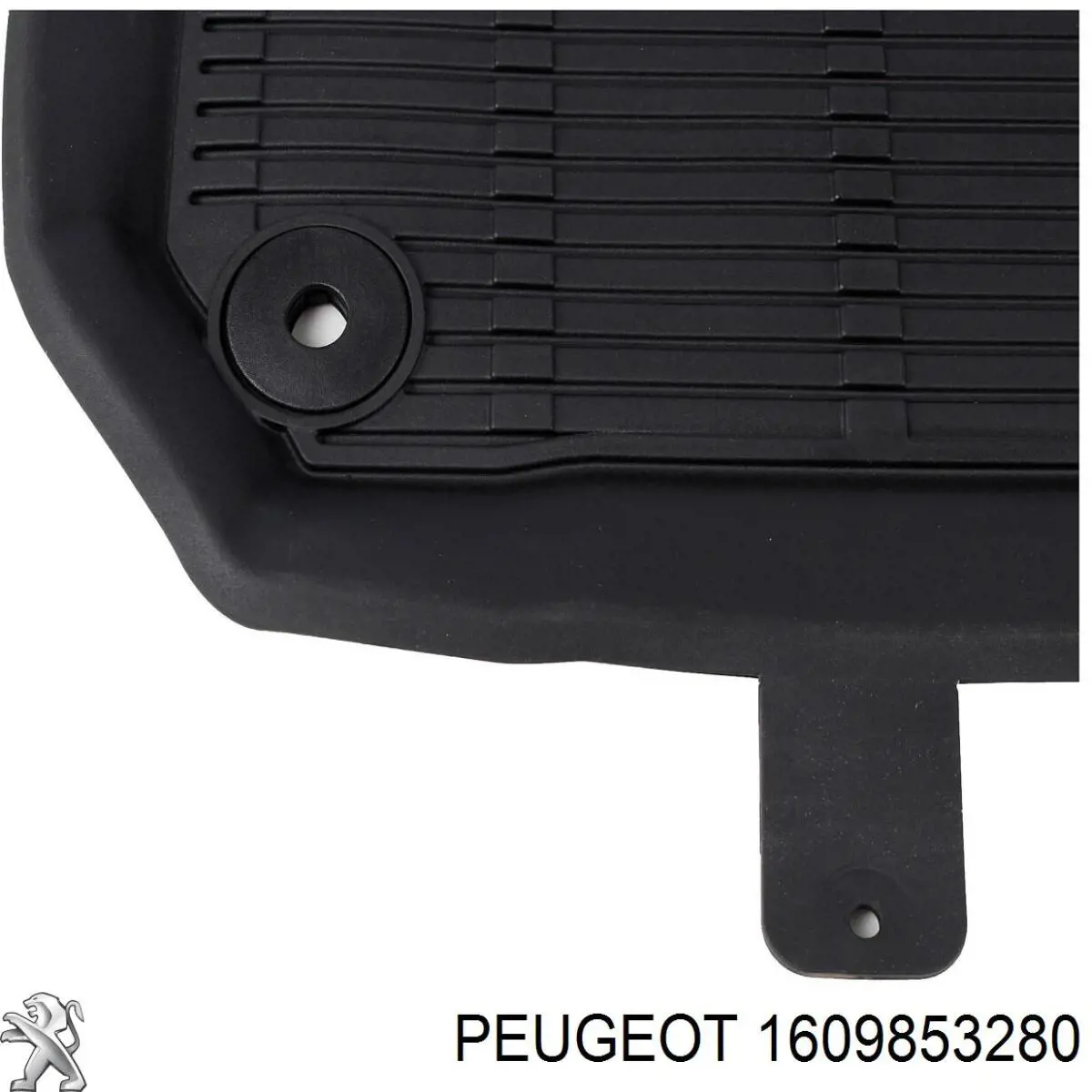 1609853280 Peugeot/Citroen 