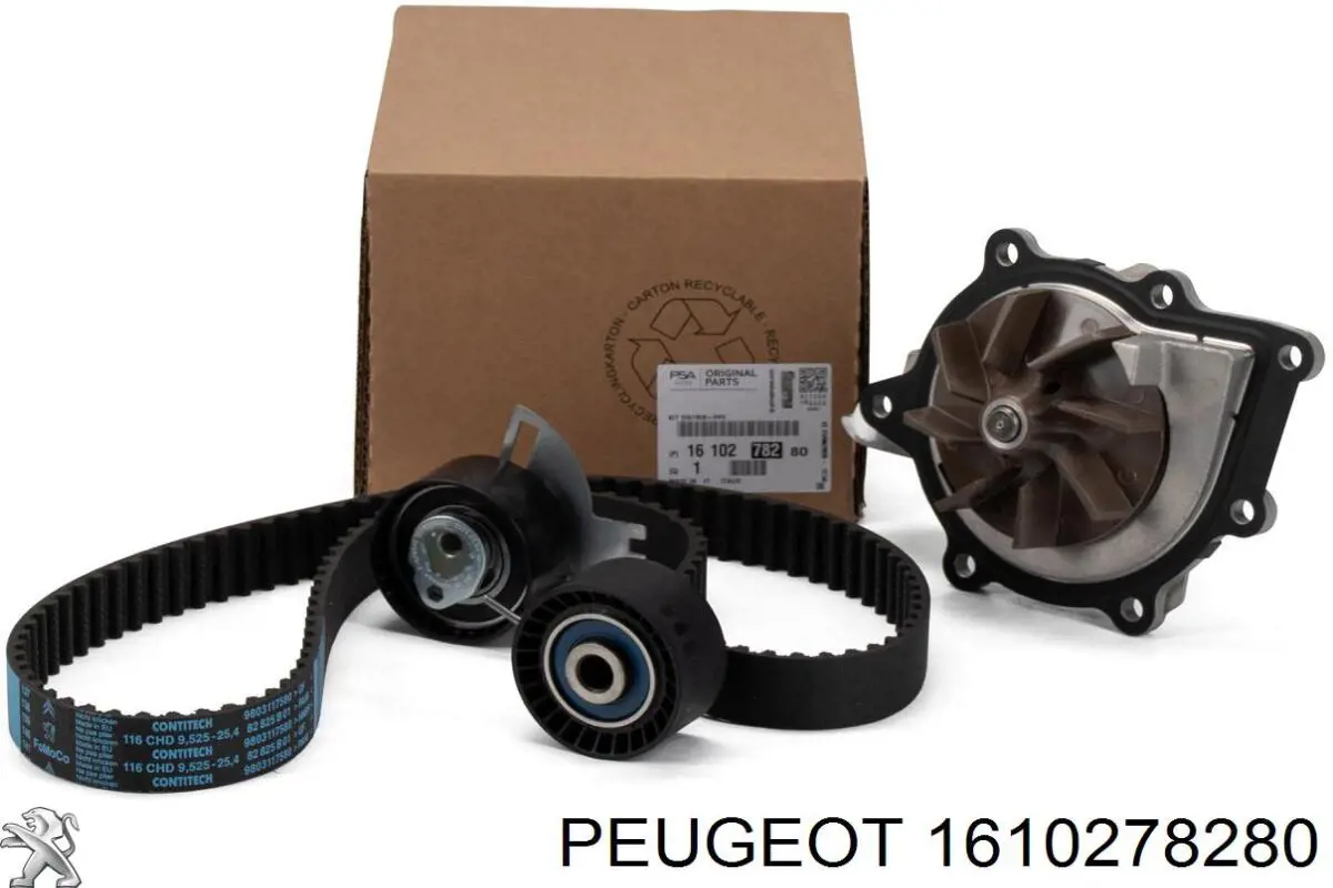 Correia do mecanismo de distribuição de gás, kit 1610278280 Peugeot/Citroen