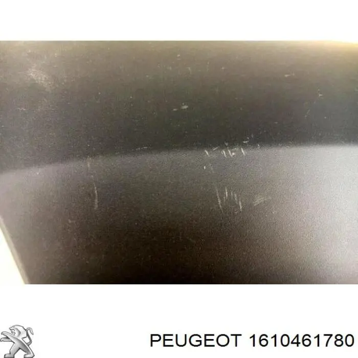 Compre 1610461780 Peugeot/Citroen Expansor (placa sobreposta) de arco do pára-lama dianteiro esquerdo